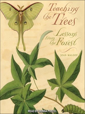 cover image of Teaching the Trees